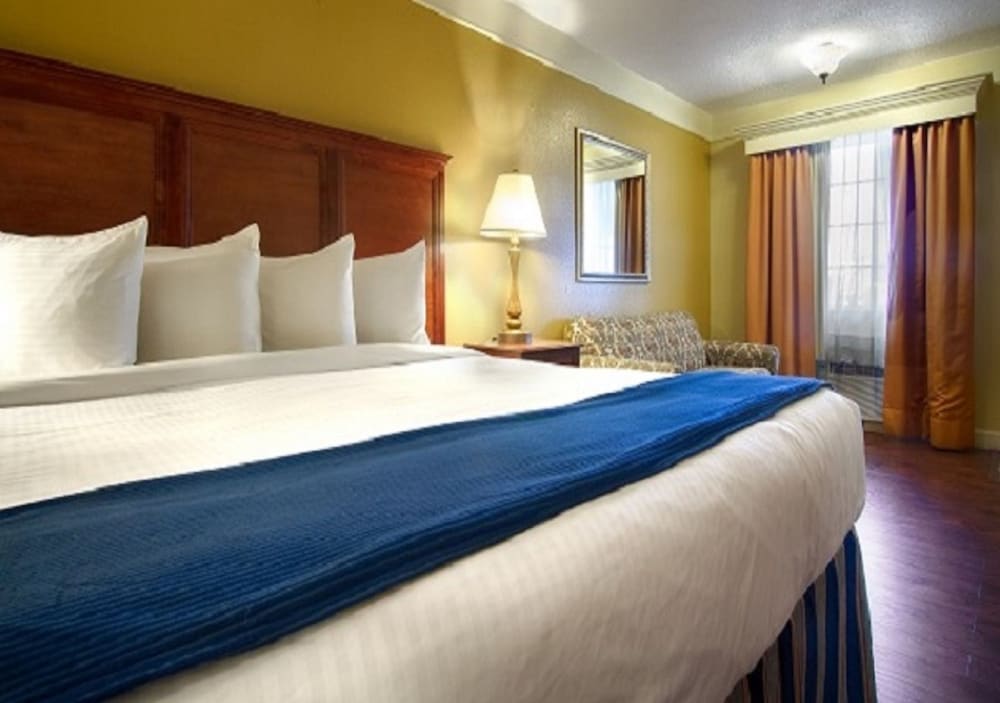 Room, 1 King Bed, Non Smoking photo 2