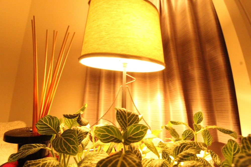 House (Private Vacation Home) photo 3