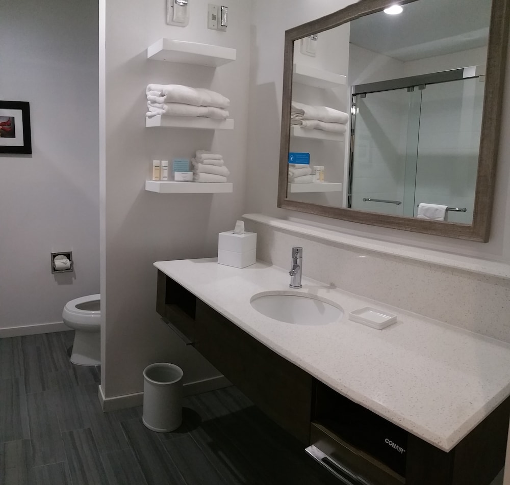 Room, 1 King Bed, Accessible, Bathtub (Mobility & Hearing) photo 3