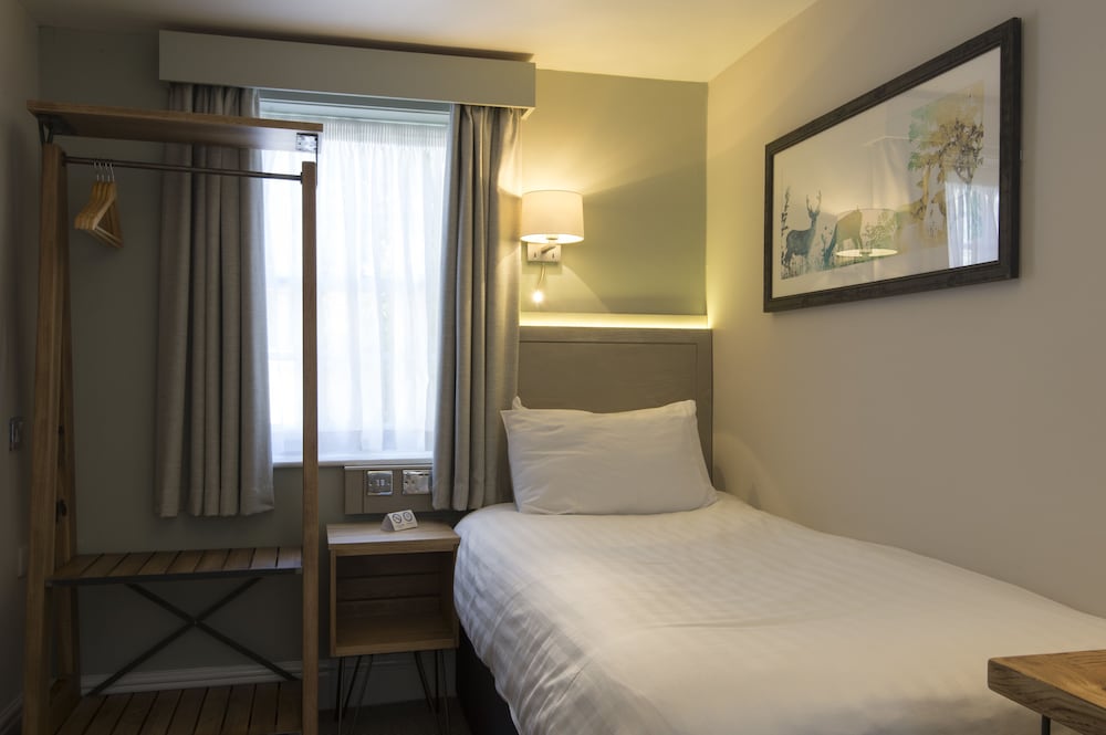 Single Room photo 1