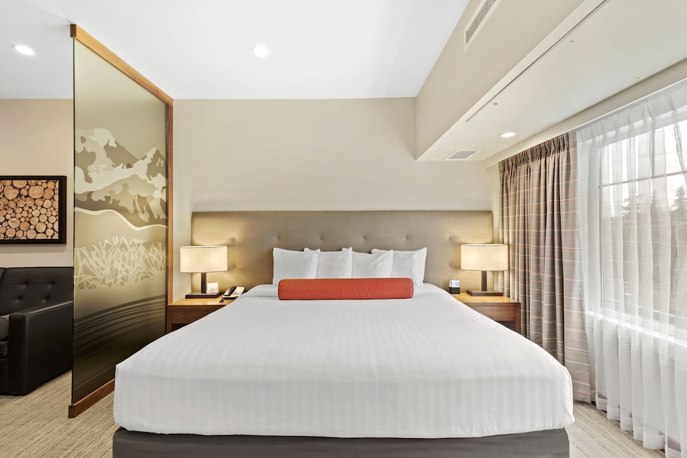 Suite, 1 King Bed with Sofa bed photo 2
