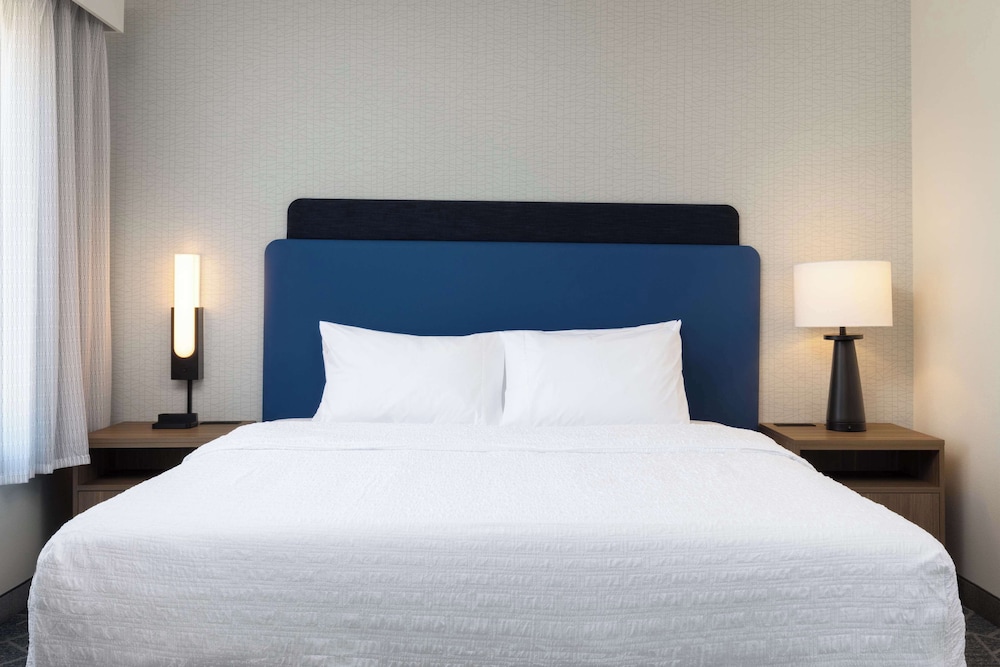 Studio Suite, 1 King Bed photo 1