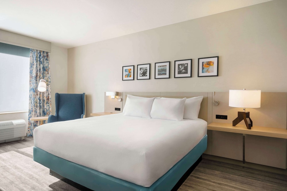 Basic Room, 1 King Bed photo 3