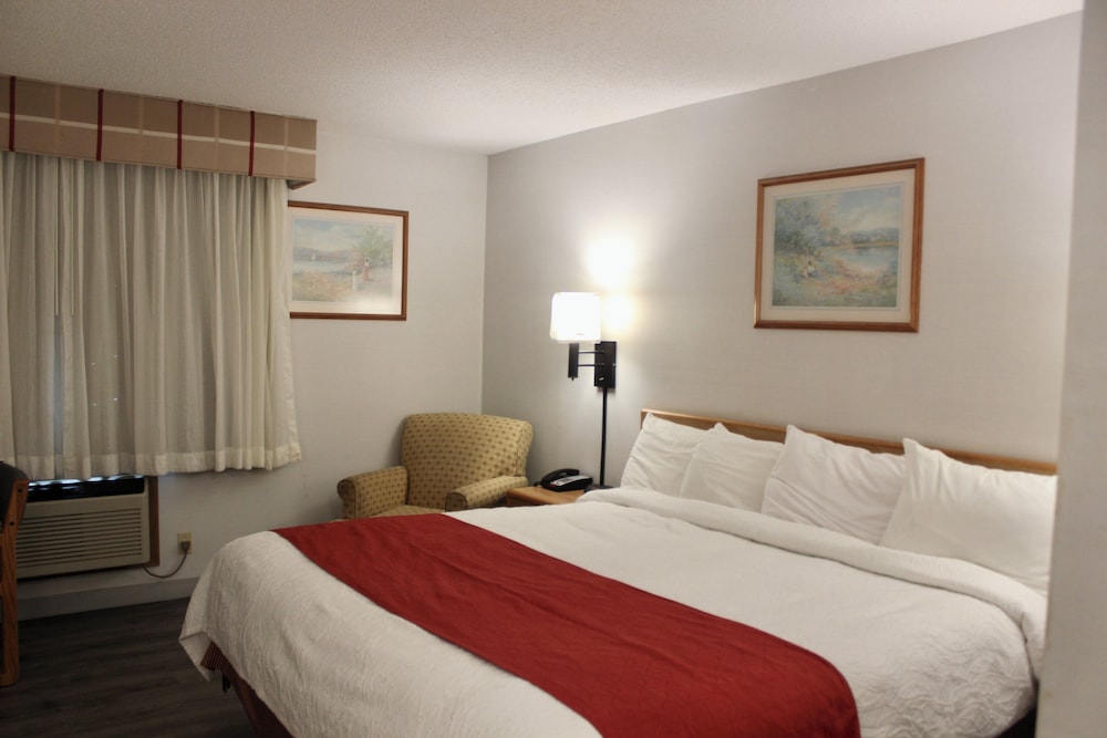 Room, 1 King Bed, Non Smoking photo 1