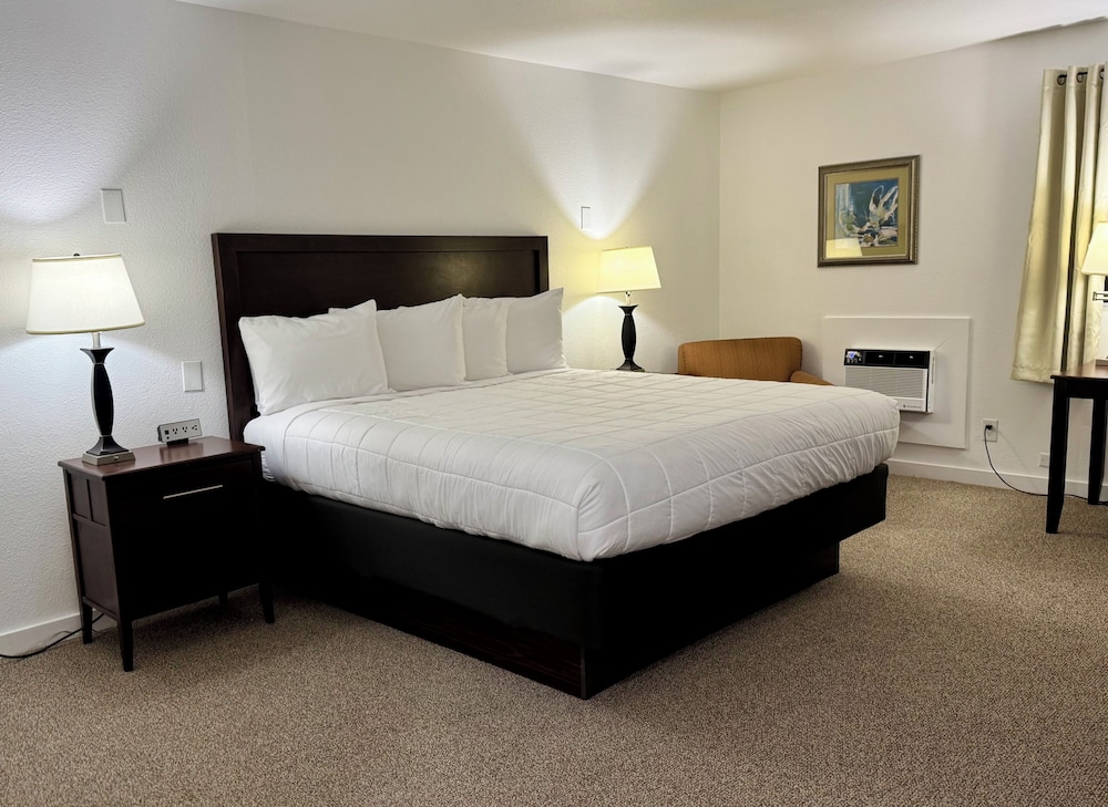 Basic Single Room photo 1