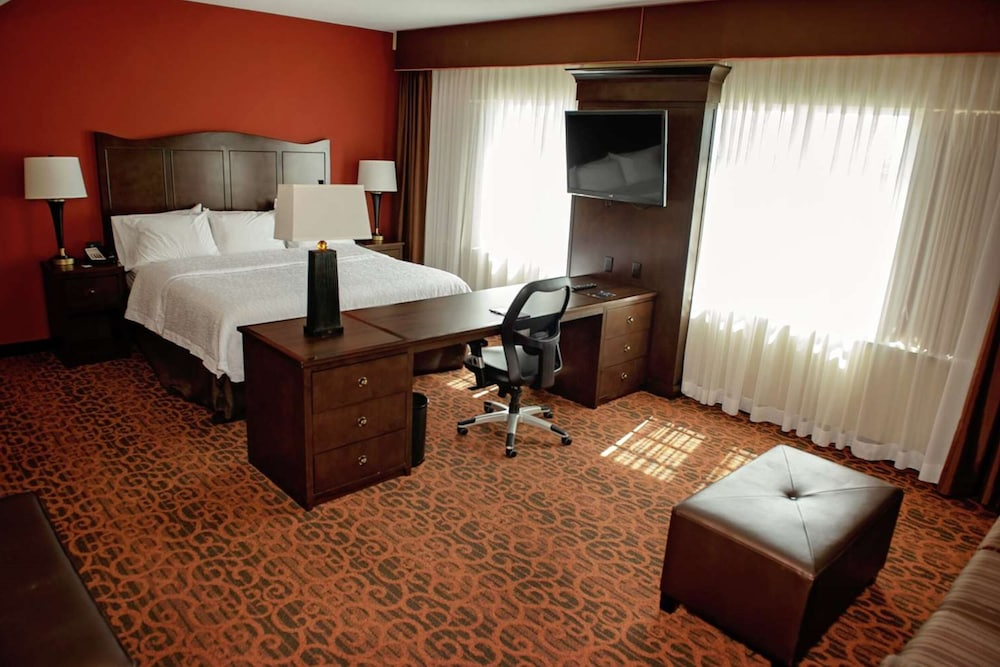 Studio, 1 King Bed, Accessible photo 2
