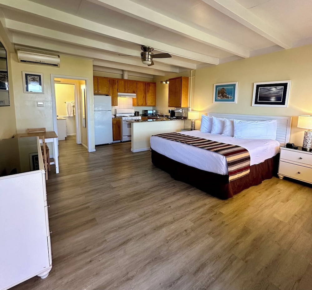 Suite, 1 King Bed