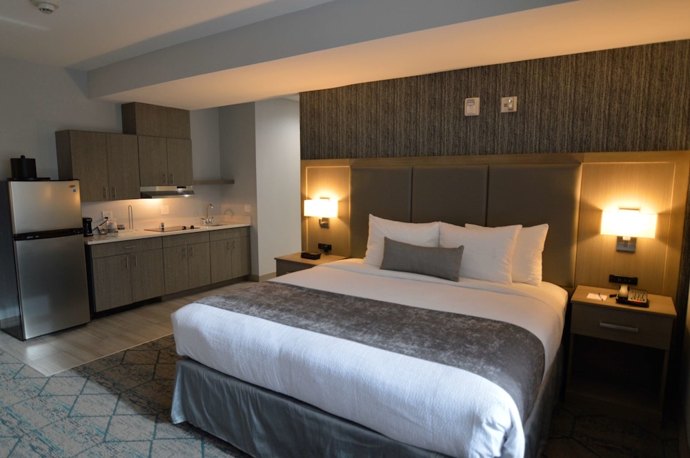 Suite, 1 King Bed, Accessible, Refrigerator & Microwave (Walk-in Shower;with Sofabed) - Photo 1