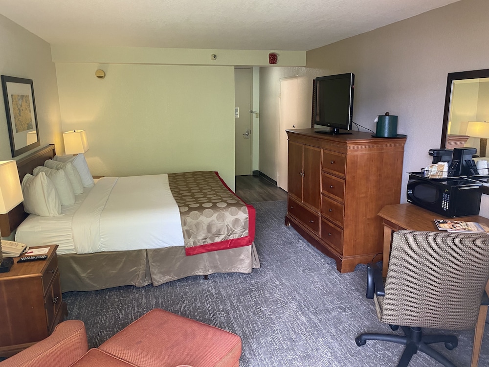 Room, 1 King Bed, Non Smoking photo 2