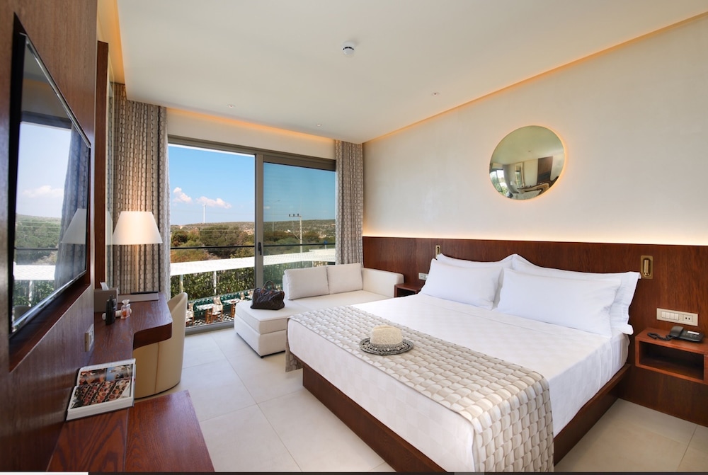 Deluxe Room - Photo 13