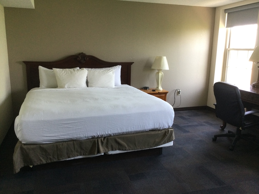 Standard Room, 1 King Bed - Photo 4