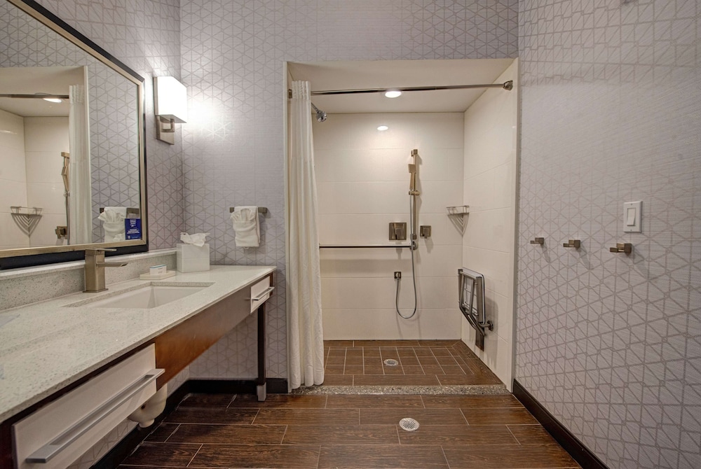 Studio, 1 King Bed, Accessible (Roll-in Shower) - Photo 8