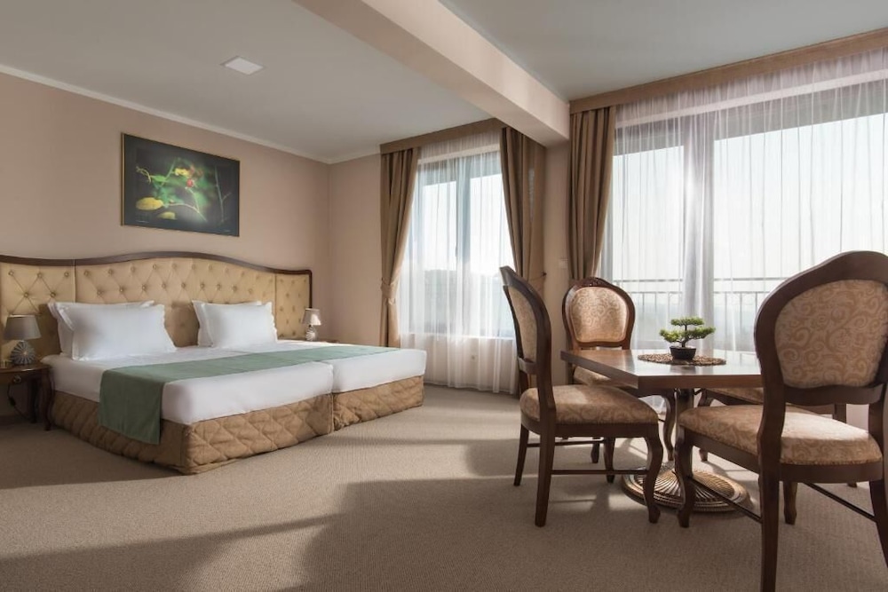 Deluxe Double or Twin Room, Mountain View