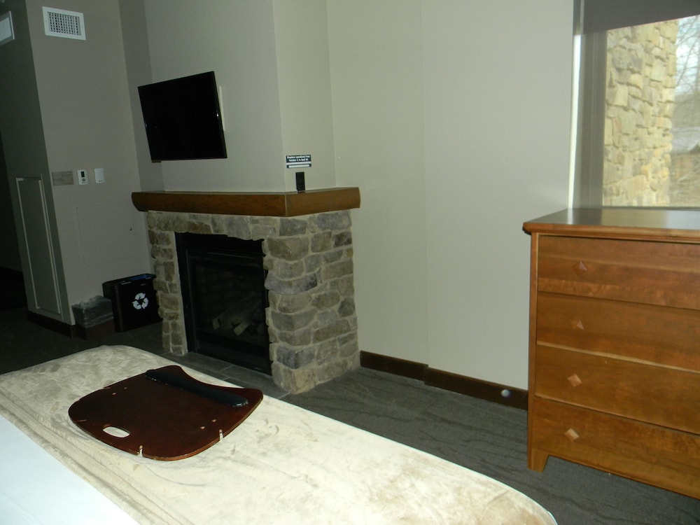 Room (1 King bed with queen sofabed) photo 3