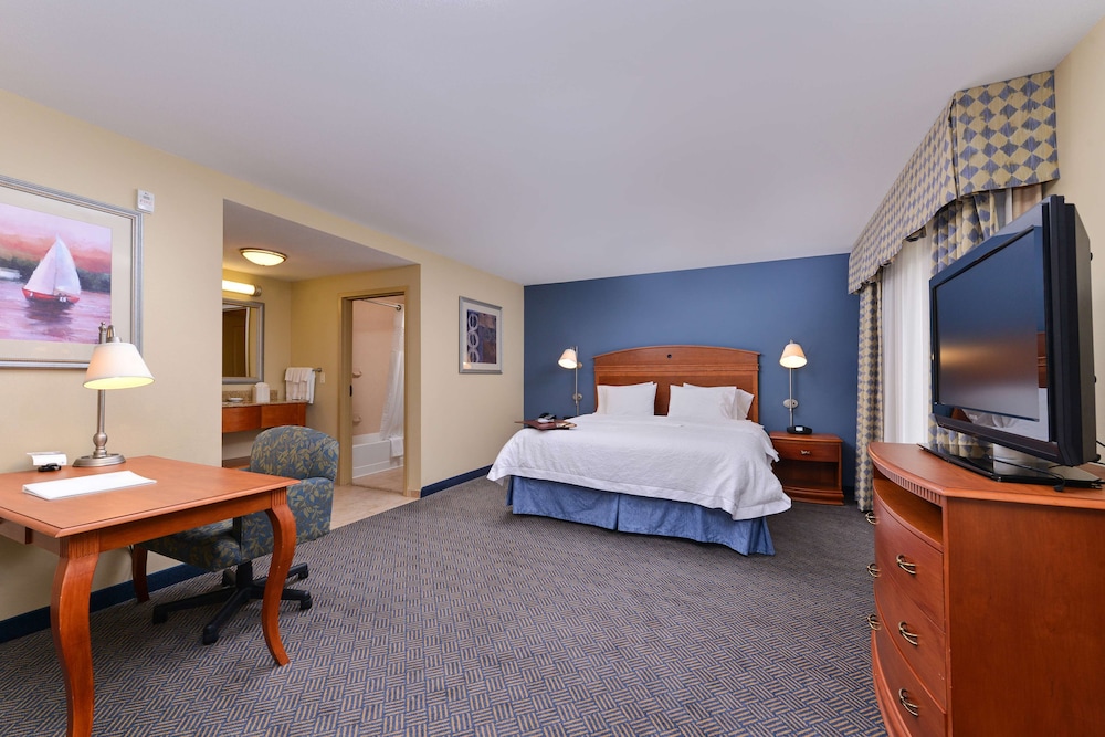 Studio, 1 King Bed, Accessible, Non Smoking photo 2