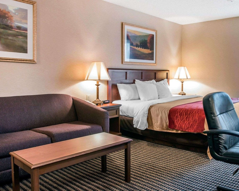 Standard Room, 1 King Bed With Sofa Bed, Non Smoking photo 3