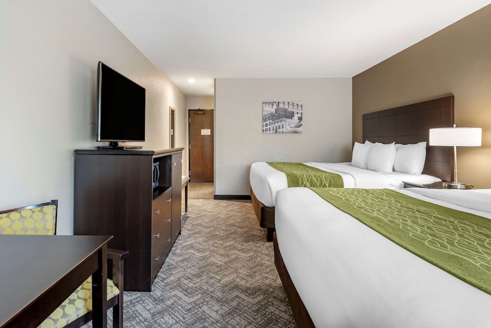 Room, Multiple Beds, Non Smoking - Photo 5