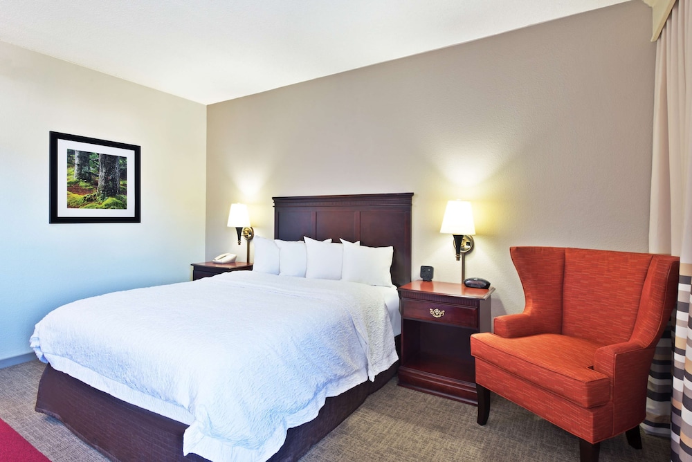 Room, 1 Queen Bed, Accessible, Bathtub - Photo 1