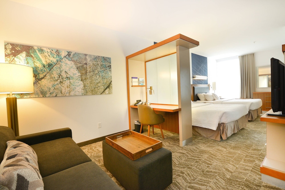 Studio, Multiple Beds - Photo 6