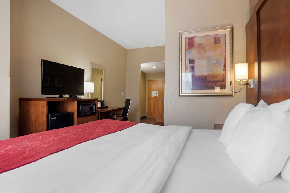 Suite, 1 King Bed, Non Smoking - Photo 4
