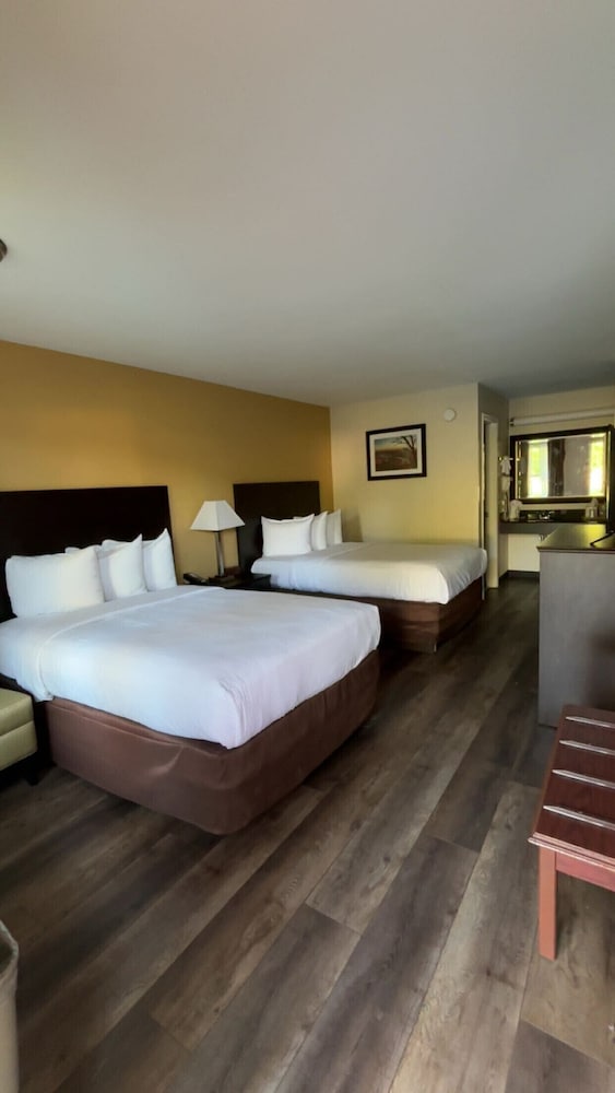 Basic Double Room