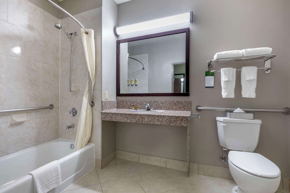 Standard Room, 1 King Bed, Accessible, Jetted Tub - Photo 4
