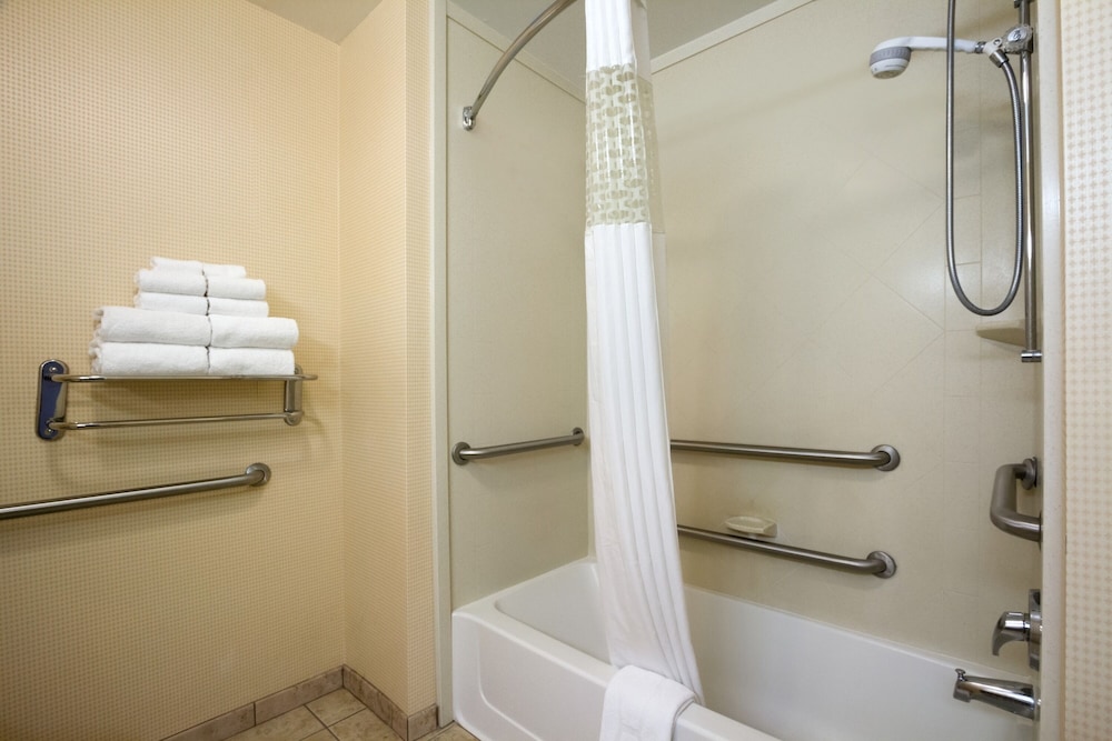 Room, 1 King Bed, Accessible, Bathtub (Mobility & Hearing) - Photo 4