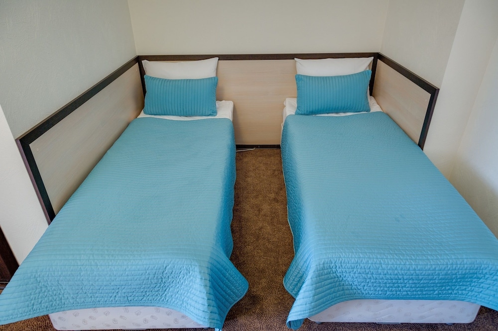 Economy Room photo 2
