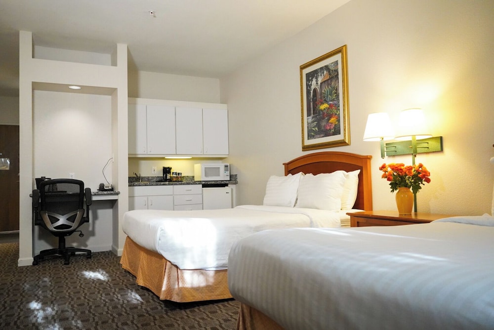 Executive 2 Queen Room photo 1