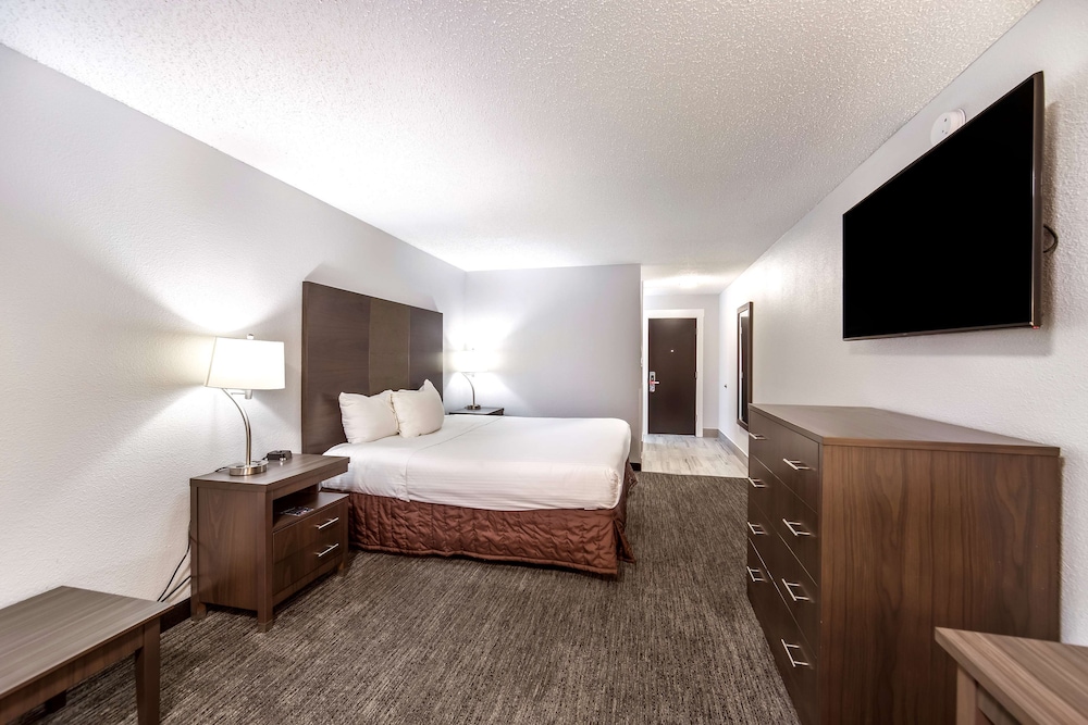 Studio Suite photo 2