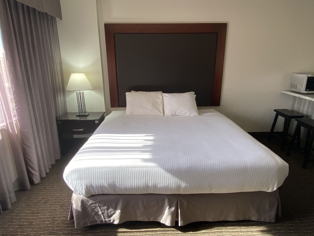Deluxe Kitchenette, 1 King Bedroom - Photo 6