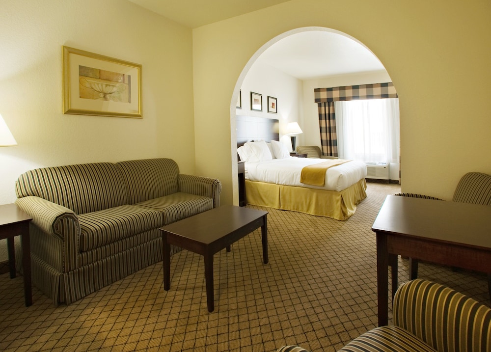 Suite, 1 King Bed, Accessible photo 1