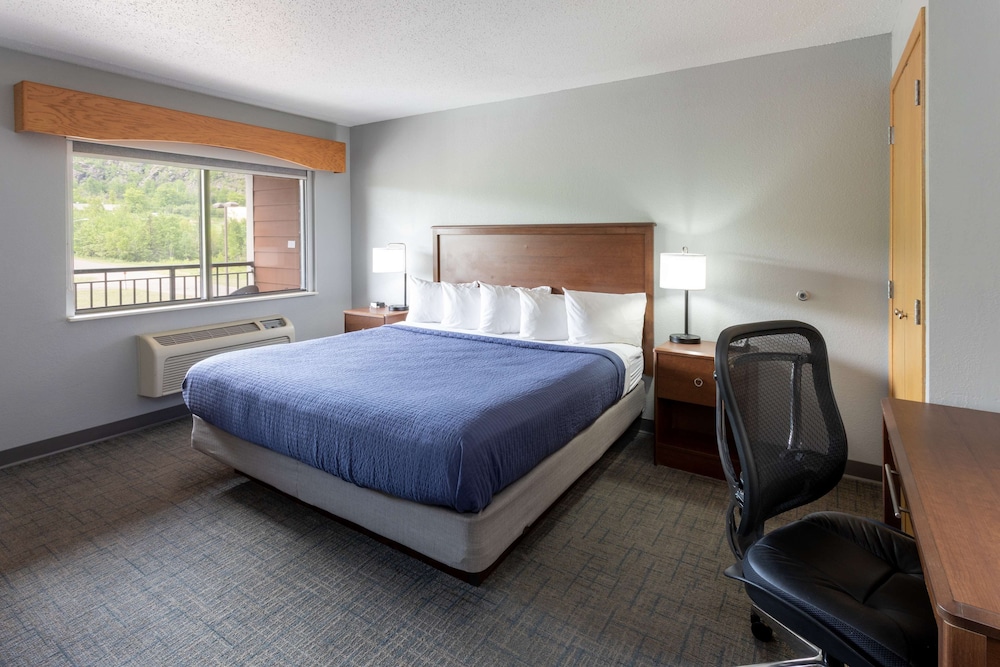 Executive Room, 1 King Bed (Pet Friendly)