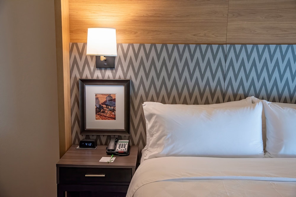 Suite, 1 King Bed, Accessible (Roll-In Shower) - Photo 1