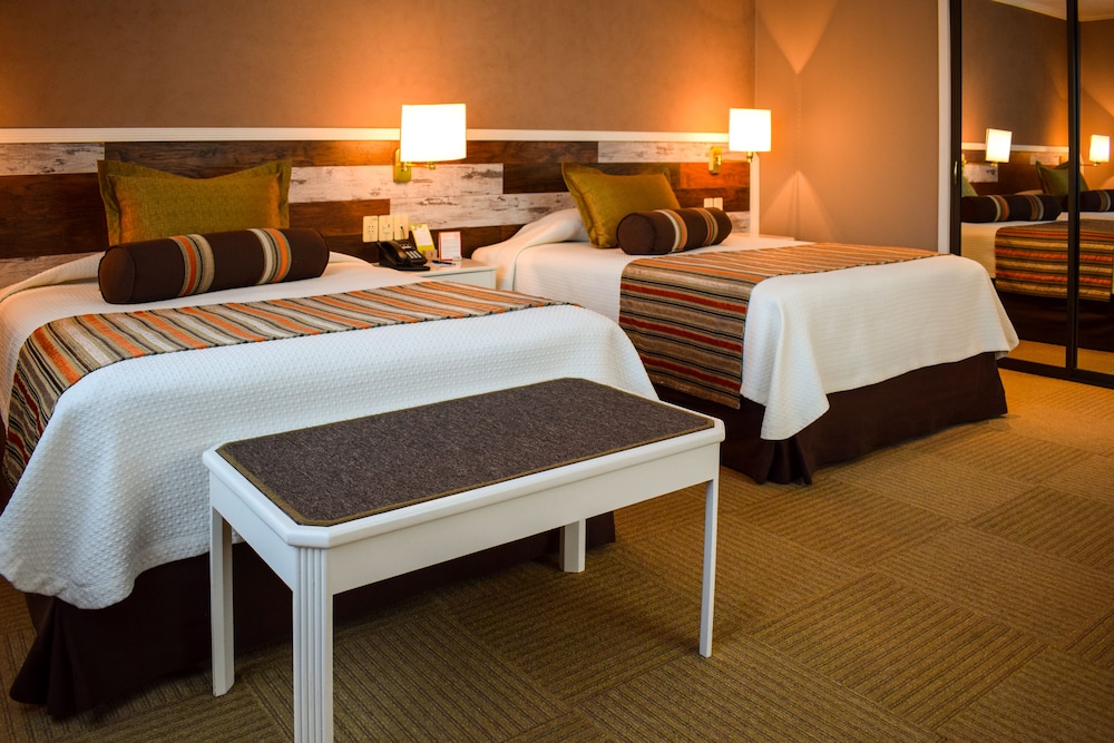 Executive Room Double - Photo 2