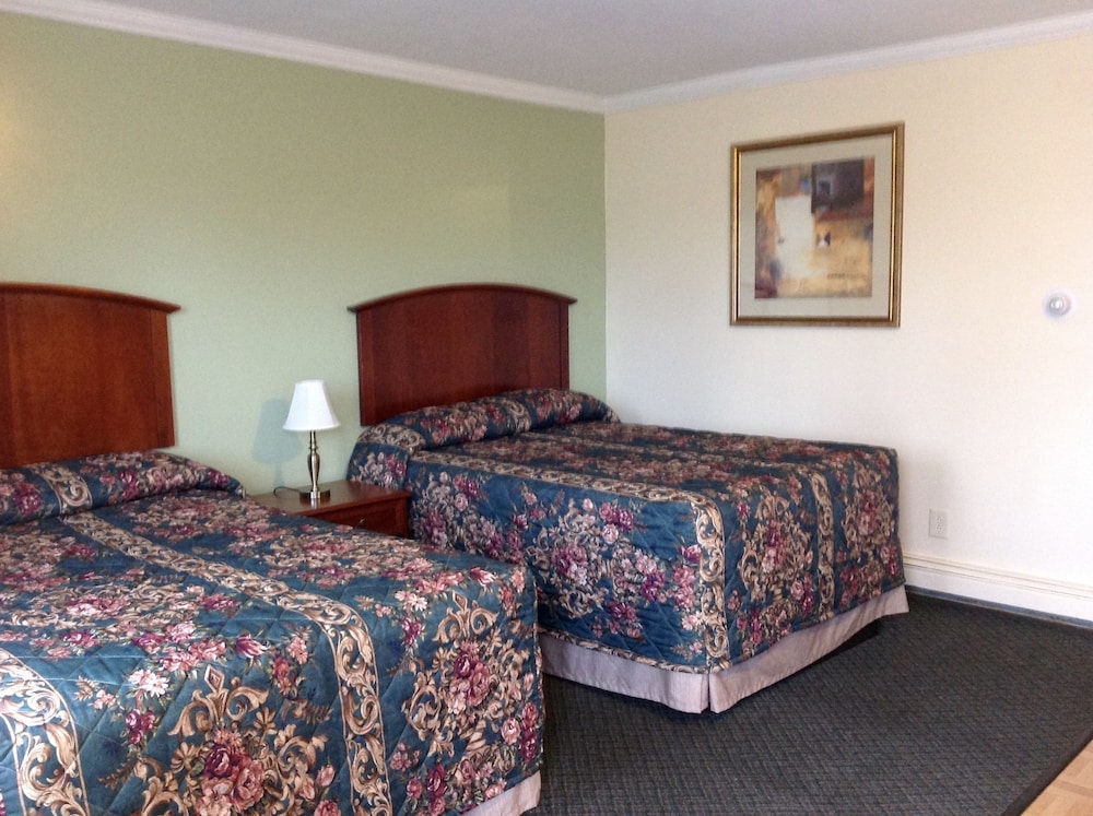 Standard Room, 2 Double Beds photo 2
