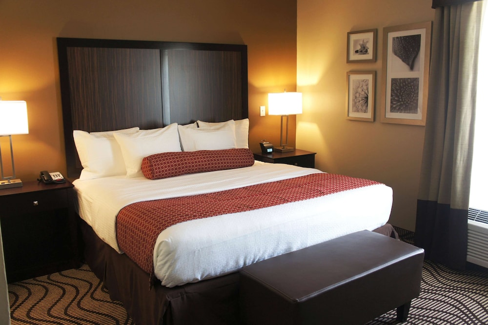 Presidential Suite, 1 King Bed, Non Smoking photo 1