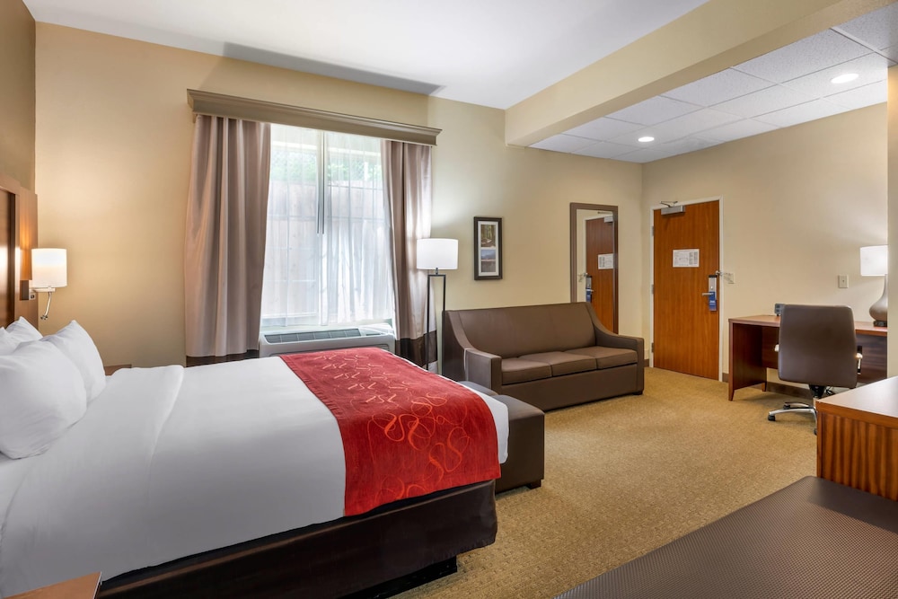Suite, 1 King Bed, Non Smoking photo 3