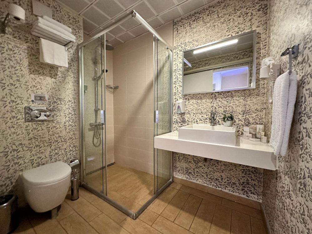 Standard Double Room with Extra Bed photo 3