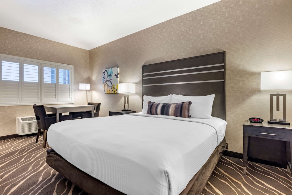 Standard Room, 1 King Bed, Accessible, Refrigerator & Microwave - Photo 3