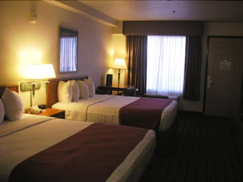 Traditional Room, 2 Queen Beds photo 2