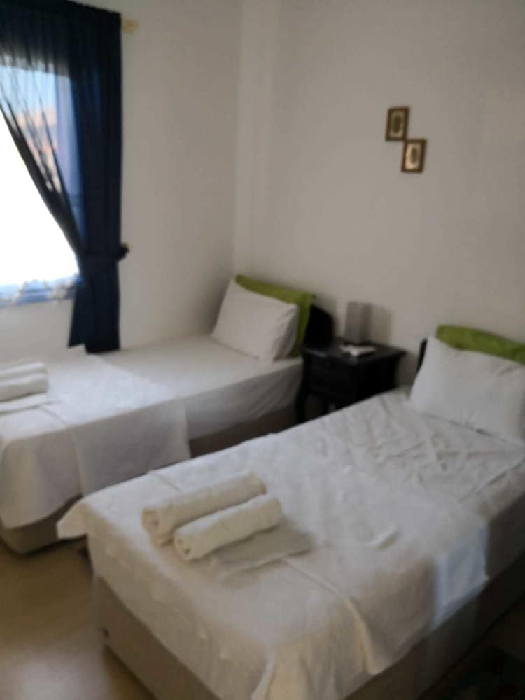 Economy Twin Room, Multiple Beds, Non Smoking photo 3