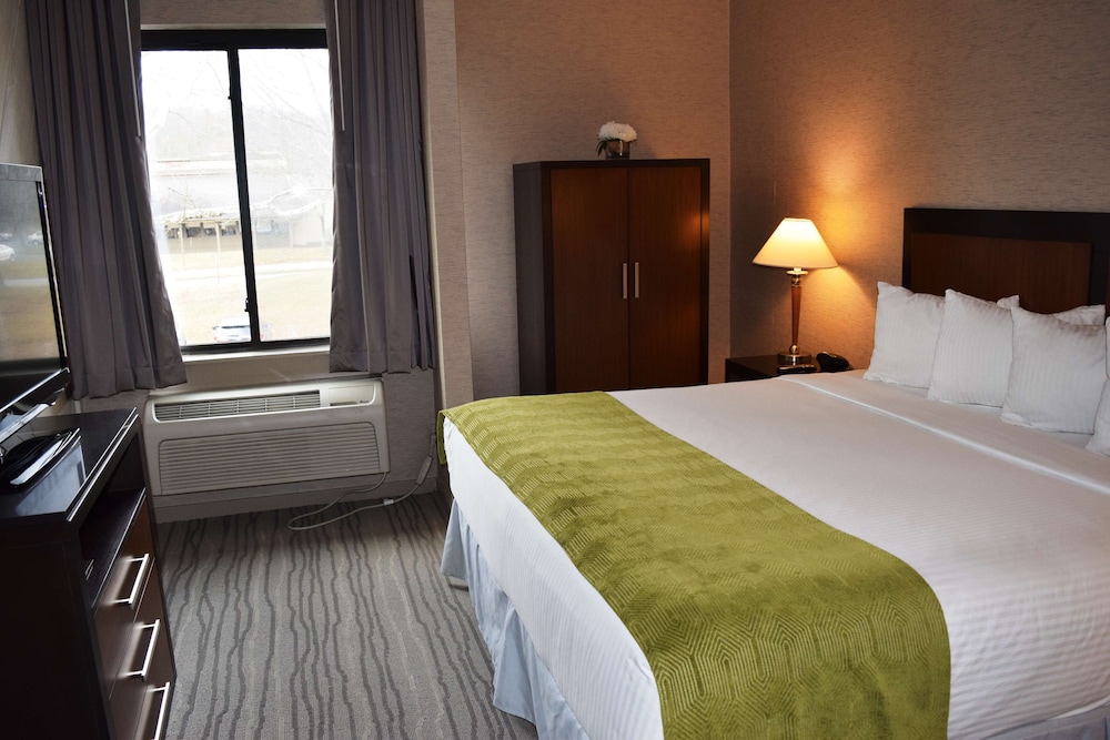 Suite, 1 King Bed, Non Smoking, Refrigerator & Microwave (With Sofabed) photo 2