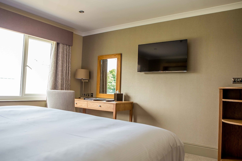 Superior Double or Twin Room photo 2