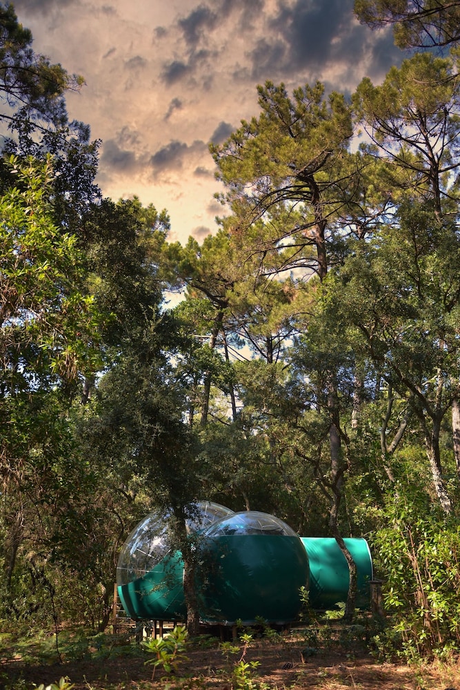 Tent, Ensuite (Bulles) - Photo 9