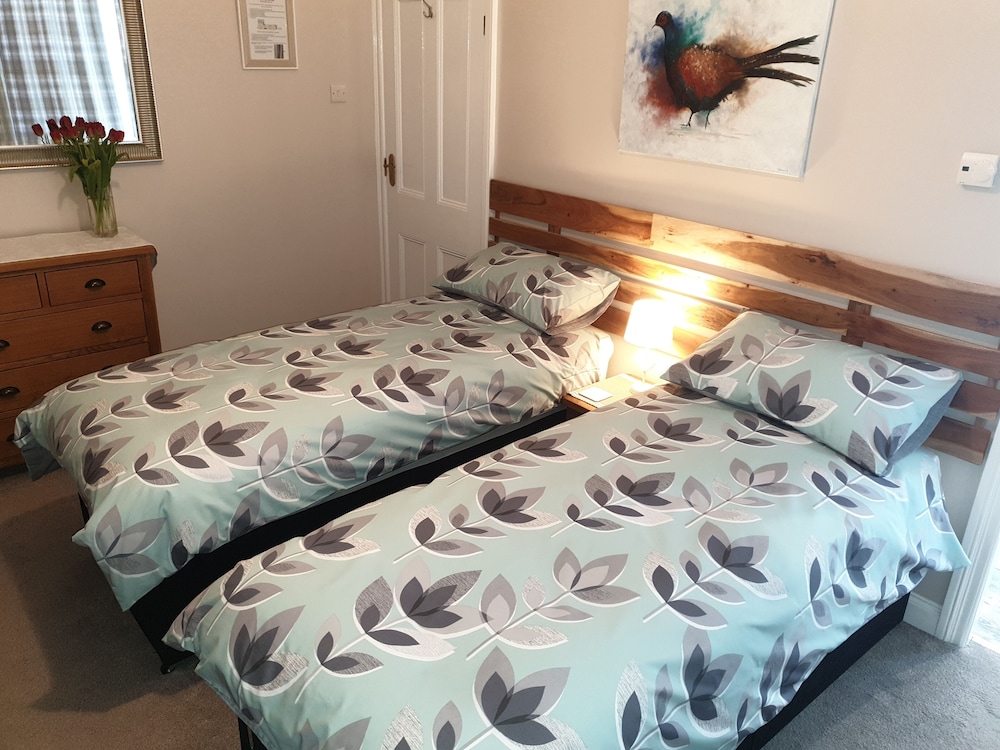 Deluxe Double or Twin Room photo 2