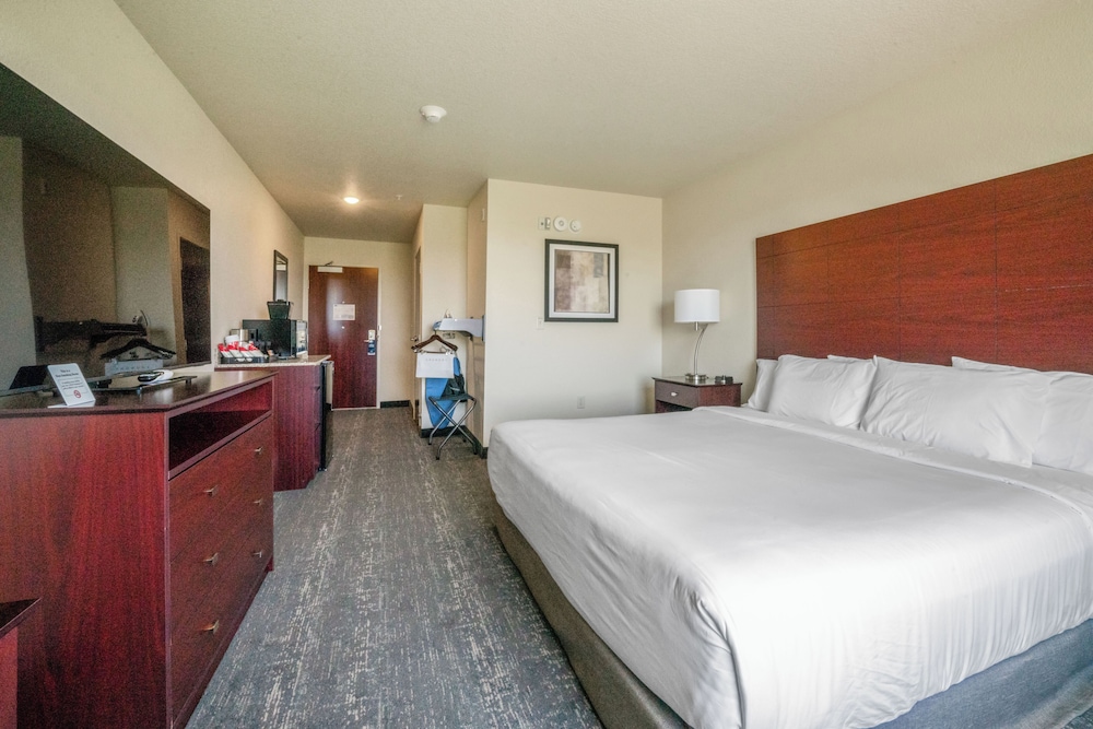 Room, 1 King Bed, Accessible, Non Smoking (Guestroom Audible/Visual Alert) - Photo 6