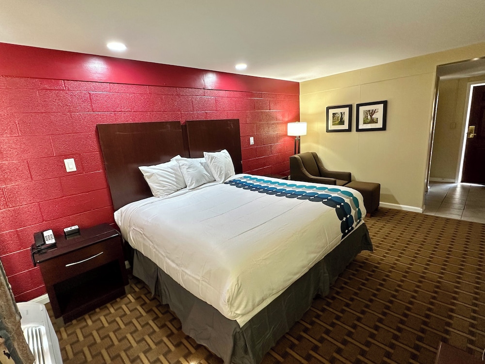 Standard Single Room, 1 King Bed, Smoking photo 3