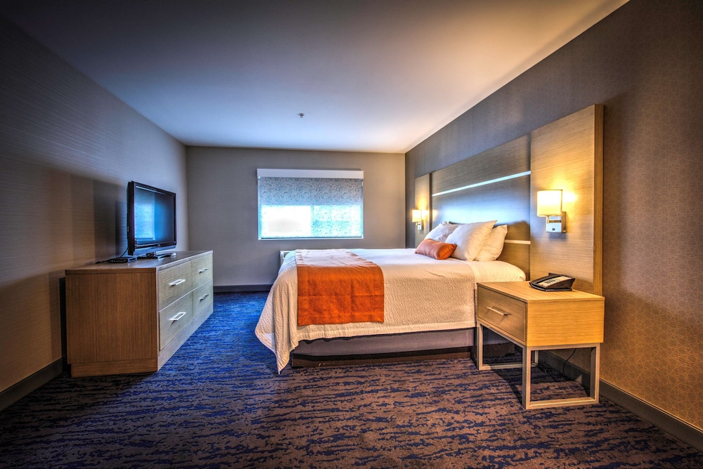 Suite, 1 King Bed, Non Smoking (Oversized Room;with Sofabed) photo 2