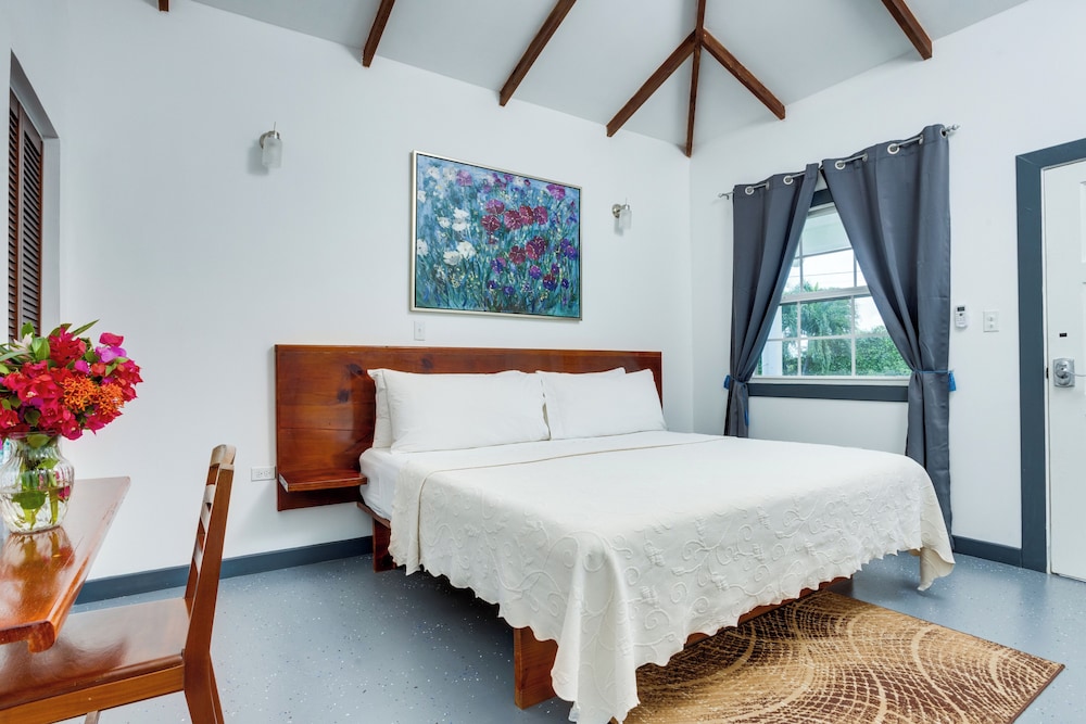 Basic Room, 1 King Bed, Non Smoking
